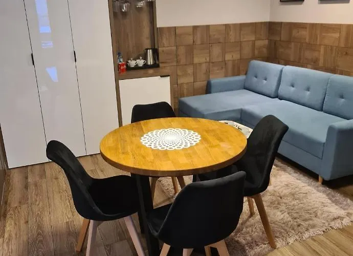 公寓 Baltic Plaza Przy Plazy 库瑞尼卡慕斯卡